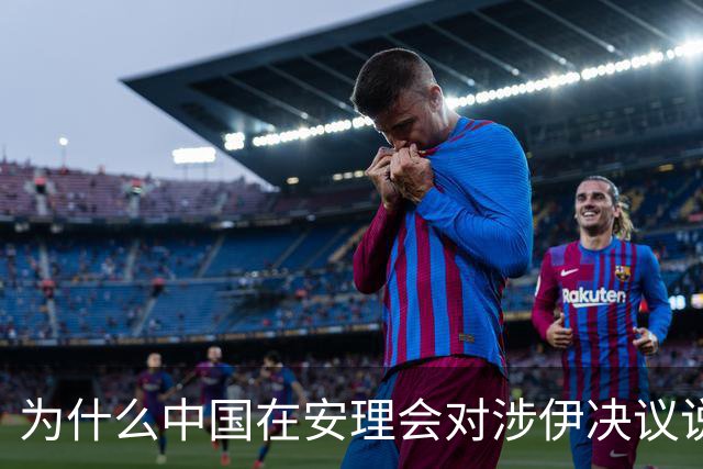 为什么中国在安理会对涉伊决议说“不”的背后