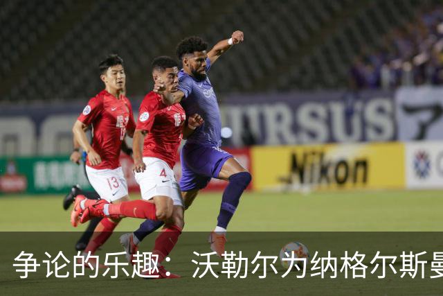 争论的乐趣：沃勒尔为纳格尔斯曼“喊冤”！