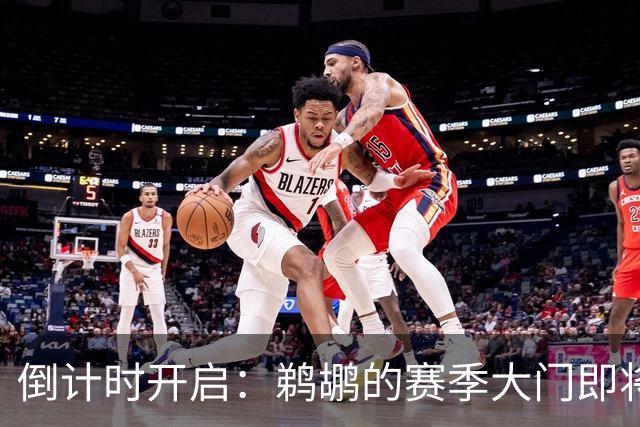 倒计时开启：鹈鹕的赛季大门即将开启，德里克-奎因日子一天天靠近！