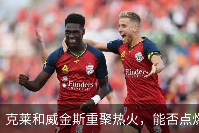 克莱和威金斯重聚热火，能否点燃新的篮球火花？