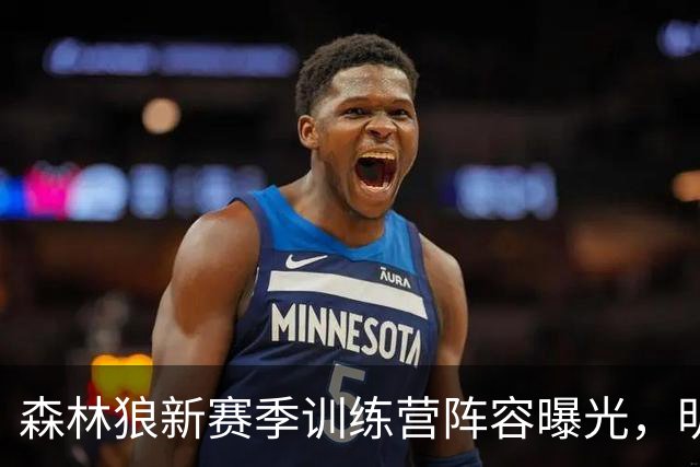 森林狼新赛季训练营阵容曝光，明星云集谁能笑到最后？