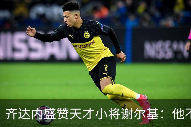 齐达内盛赞天才小将谢尔基：他不仅是个球技达人！